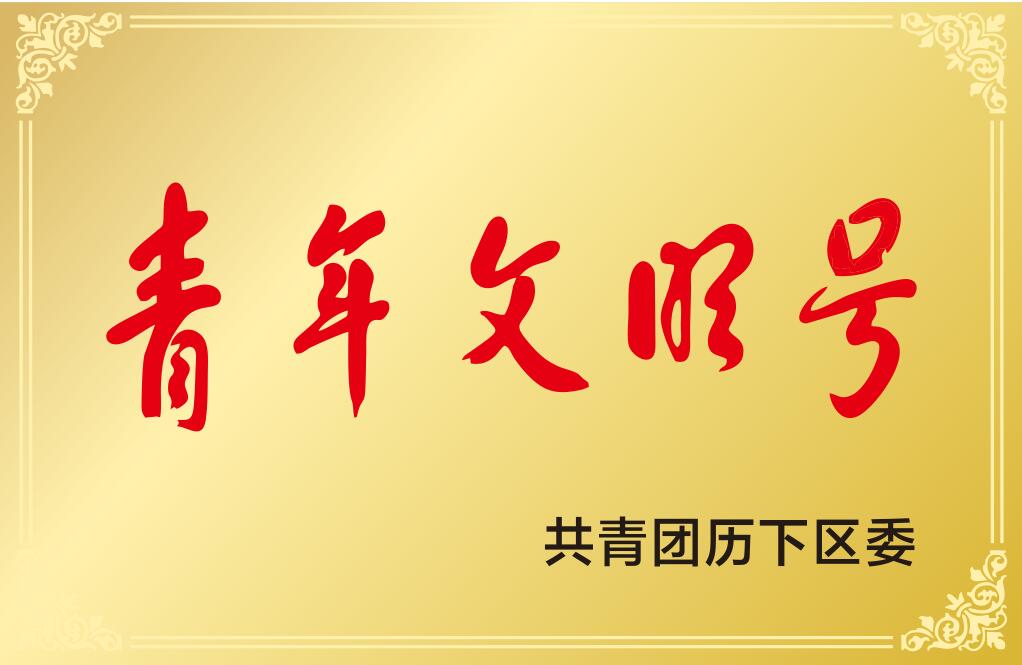 濟南市歷下區(qū)青年文明號
